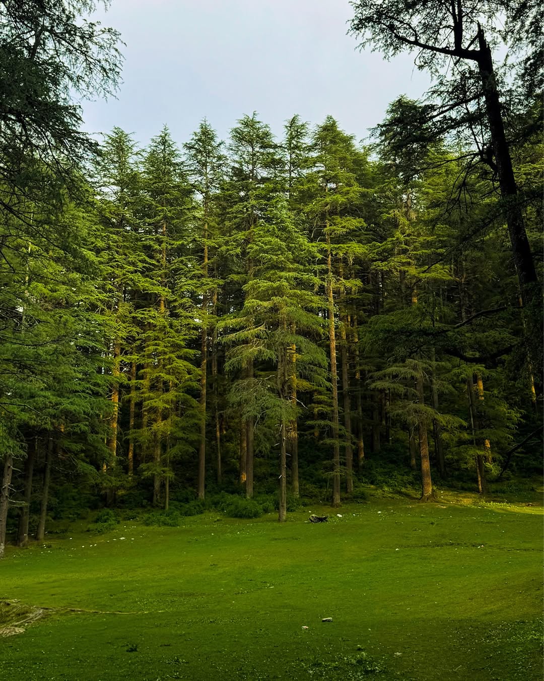 chakrata tour package